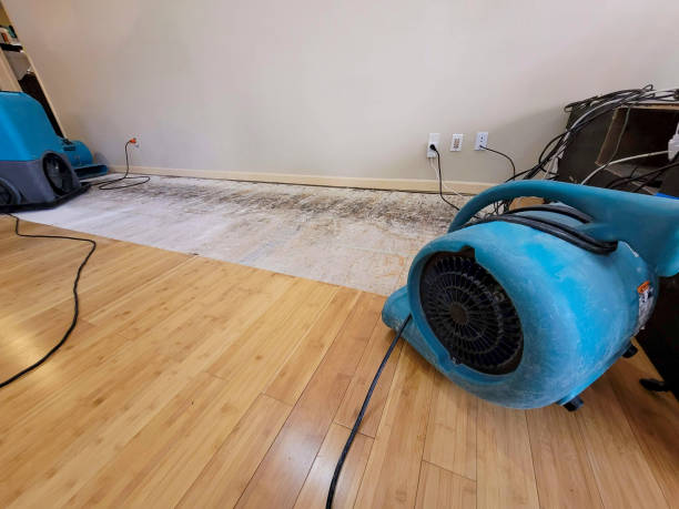 Professional Structural Drying technician working in West Liberty, KY